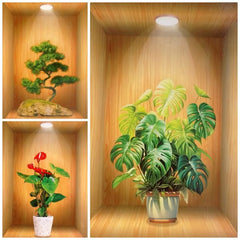 Pack Of 03 3d Aesthetic Wall Decoration Display